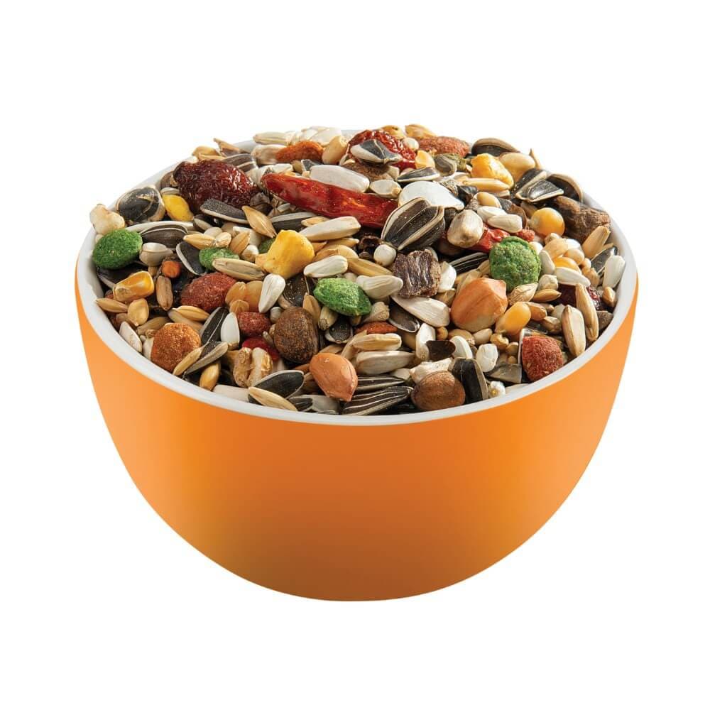 African parrot mix
