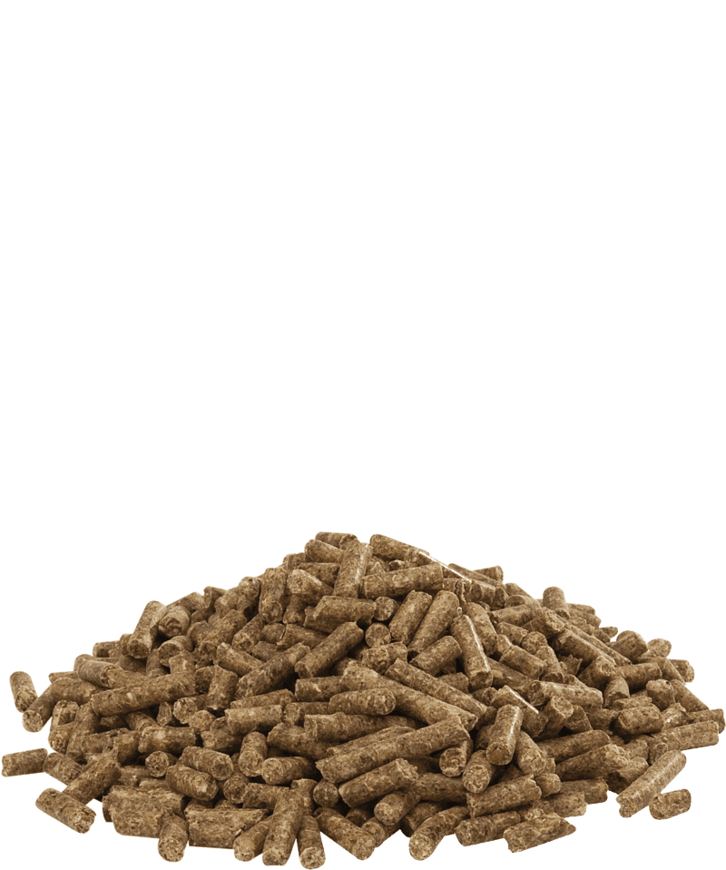 Austru 4 pellet