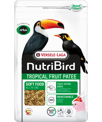 Tropical Fruit Patee