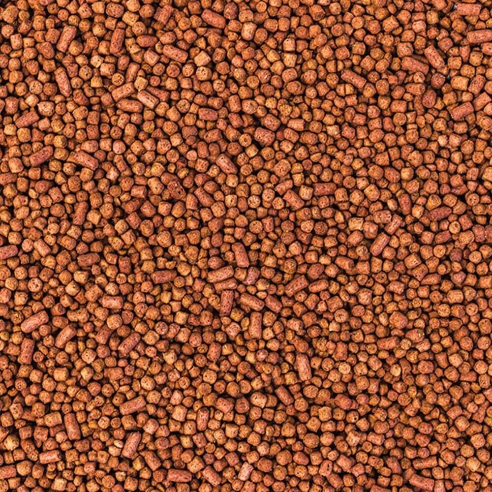 Wisbroek parrot fruit blend daily small