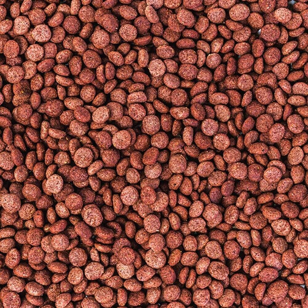 Wisbroek parrot fruit blend daily large