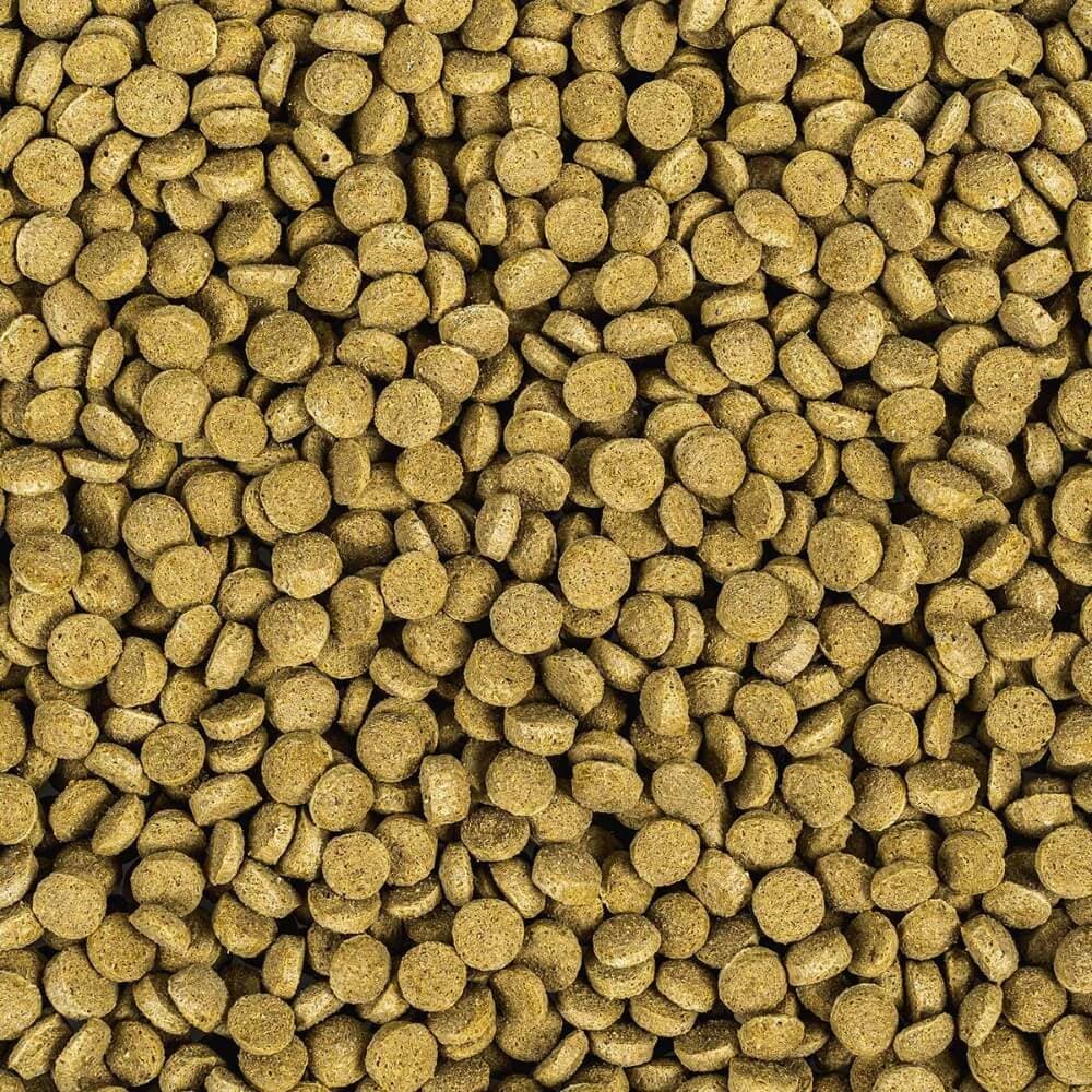 Wisbroek parrot low fat daily large