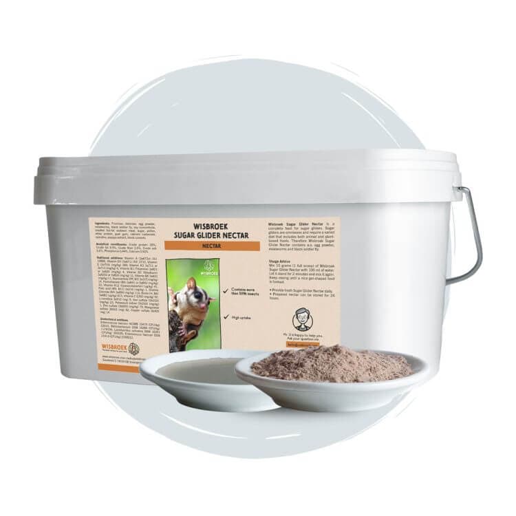 Wisbroek sugar glider nectar