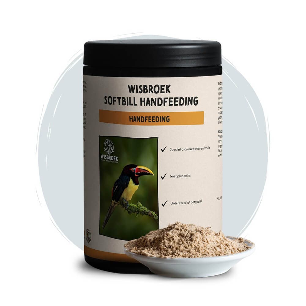 Wisbroek softbill handfeeding