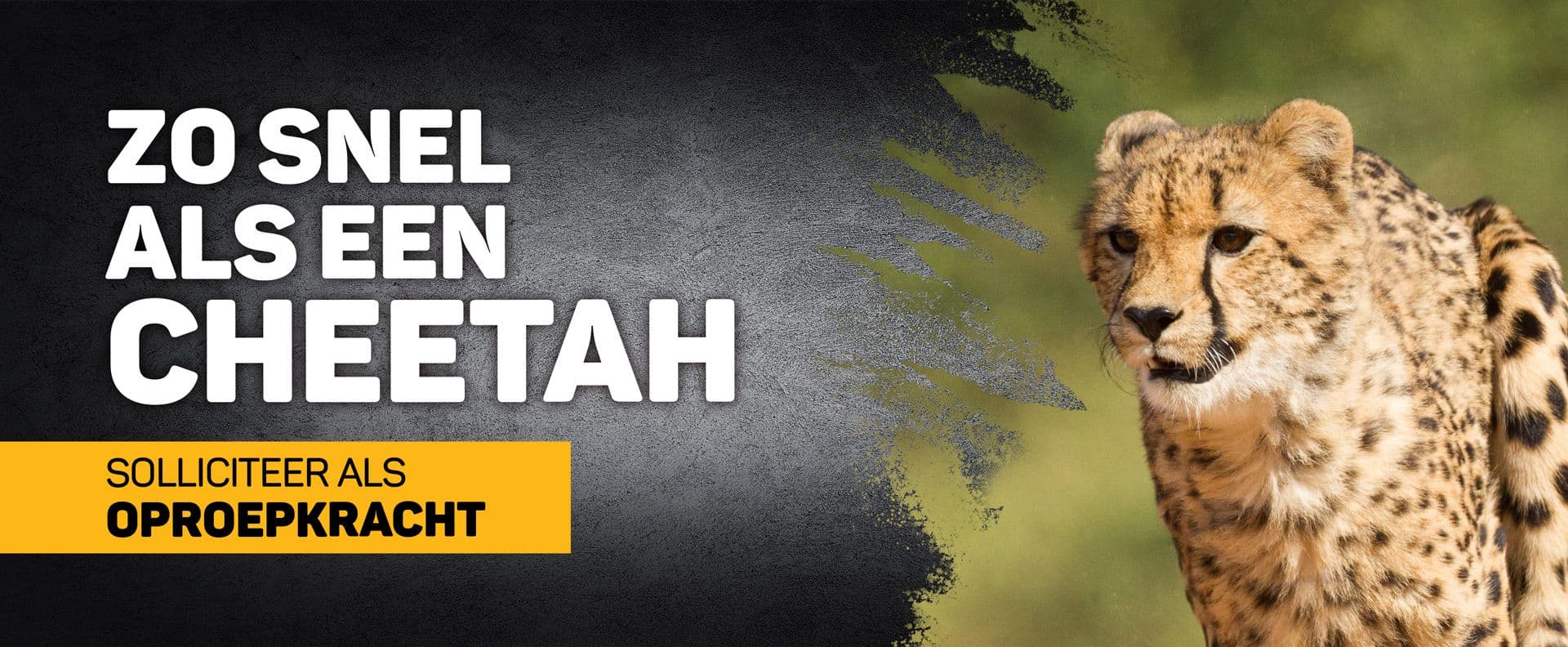 Vacature Oproepkracht